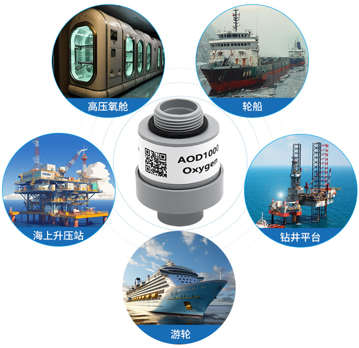 耐高压氧传感器