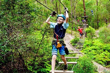 Harvy Amusement - Cultural travel project - Jungle crossing - Cover