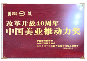 中国美业推动力奖