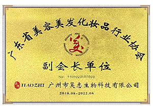 美协副会长单位